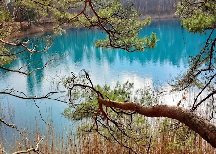 Breeze Retreat In Klitten